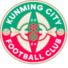 昆明城星U21logo