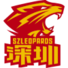 深圳領航者U19logo